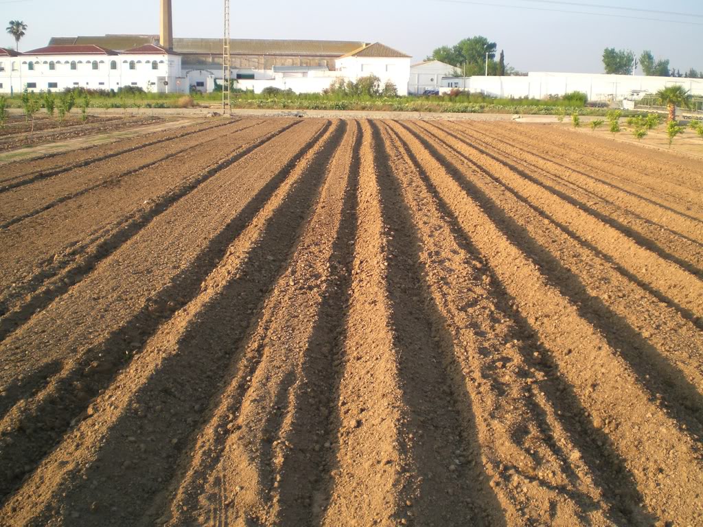 Hortografies 2