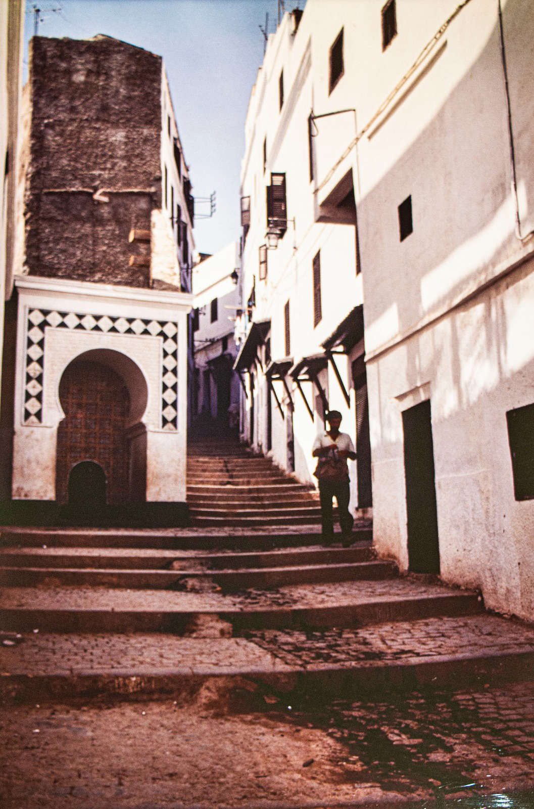 exposicion_CASBAH_Mostraviva